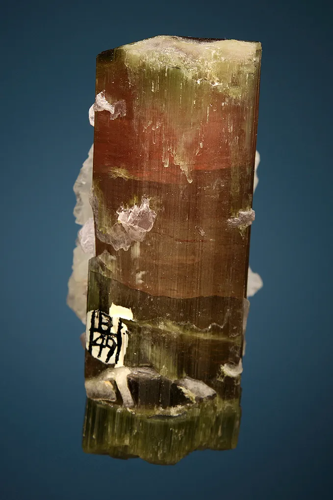 Elbaite with Lepidolite and Albite var. Cleavelandite - image 3