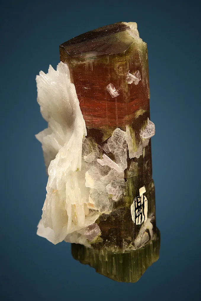 Elbaite with Lepidolite and Albite var. Cleavelandite - image 2