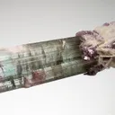 Elbaite with Lepidolite and Albite var. Cleavelandite - image 3