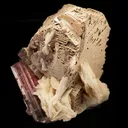 Elbaite with Lepidolite and Albite var. Cleavelandite on Microcline - image 3
