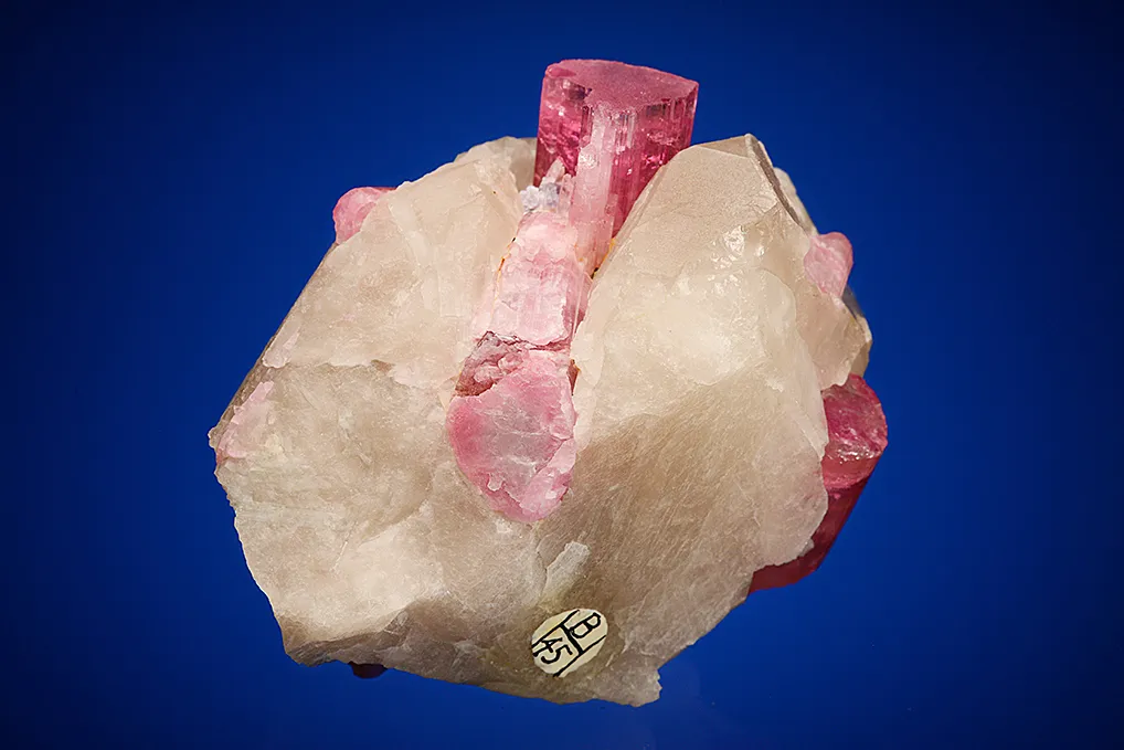 Elbaite with Lepidolite and Albite var. Cleavelandite on Quartz - image 3