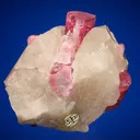 Elbaite with Lepidolite and Albite var. Cleavelandite on Quartz - image 3