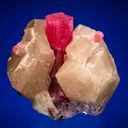 Elbaite with Lepidolite and Albite var. Cleavelandite on Quartz - image 1