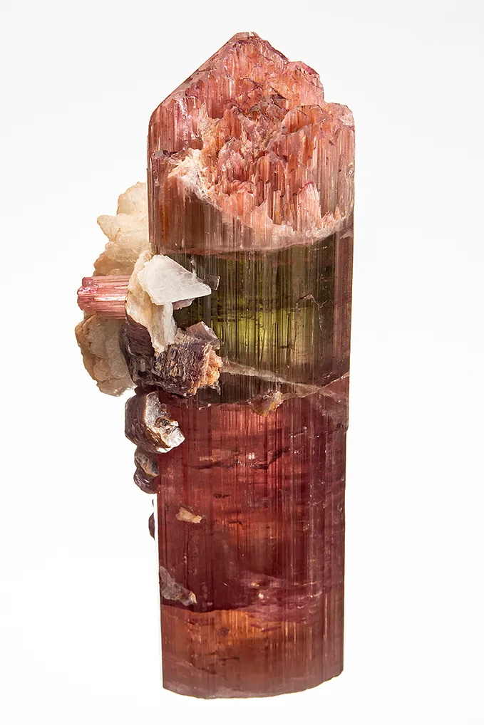 Elbaite with Lepidolite and Albite var. Cleavelandite (repaired) image