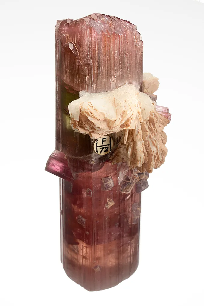 Elbaite with Lepidolite and Albite var. Cleavelandite (repaired) - image 4