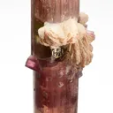 Elbaite with Lepidolite and Albite var. Cleavelandite (repaired) - image 4