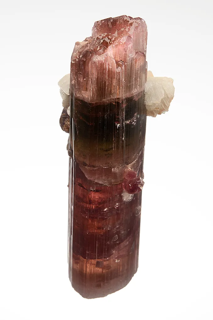 Elbaite with Lepidolite and Albite var. Cleavelandite (repaired) - image 5