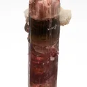 Elbaite with Lepidolite and Albite var. Cleavelandite (repaired) - image 5