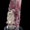 Elbaite with Lepidolite and Albite var. Cleavelandite (repaired) - image 4