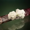 Elbaite with Lepidolite and Albite var. Cleavelandite (repaired) - image 2