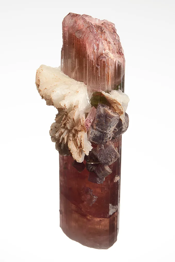 Elbaite with Lepidolite and Albite var. Cleavelandite (repaired) - image 3