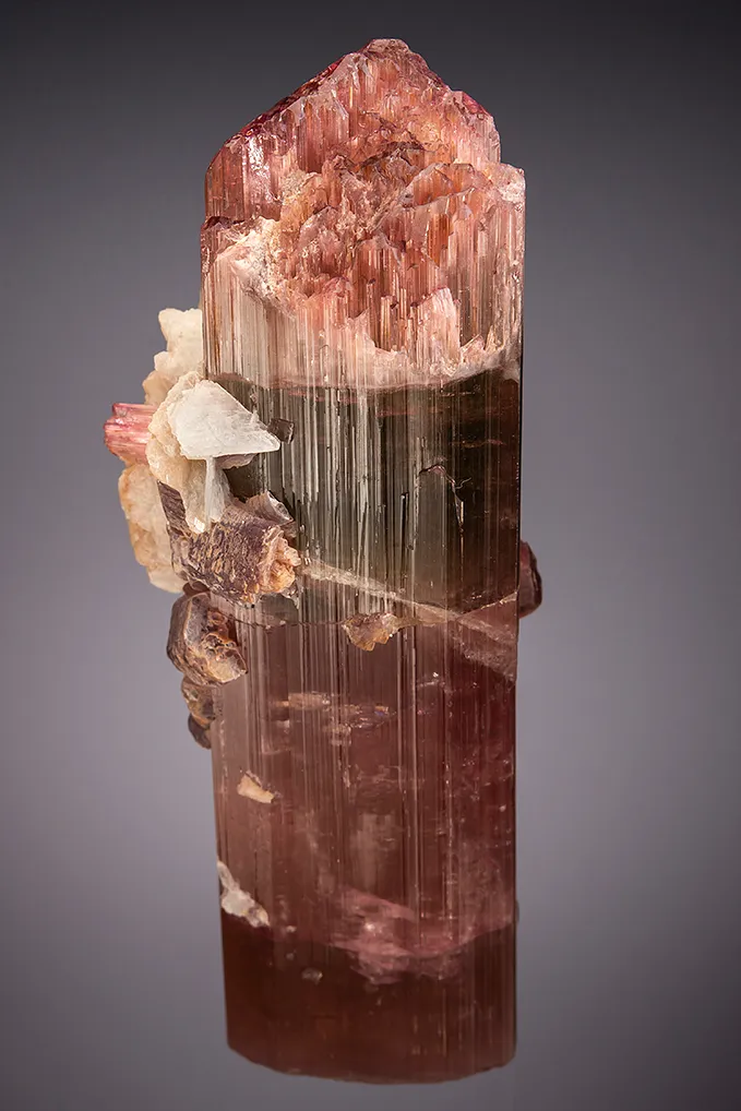 Elbaite with Lepidolite and Albite var. Cleavelandite (repaired) - image 2