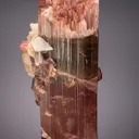 Elbaite with Lepidolite and Albite var. Cleavelandite (repaired) - image 2