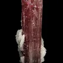 Elbaite with Lepidolite  and Albite var. Cleavelandite (repaired) - image 1