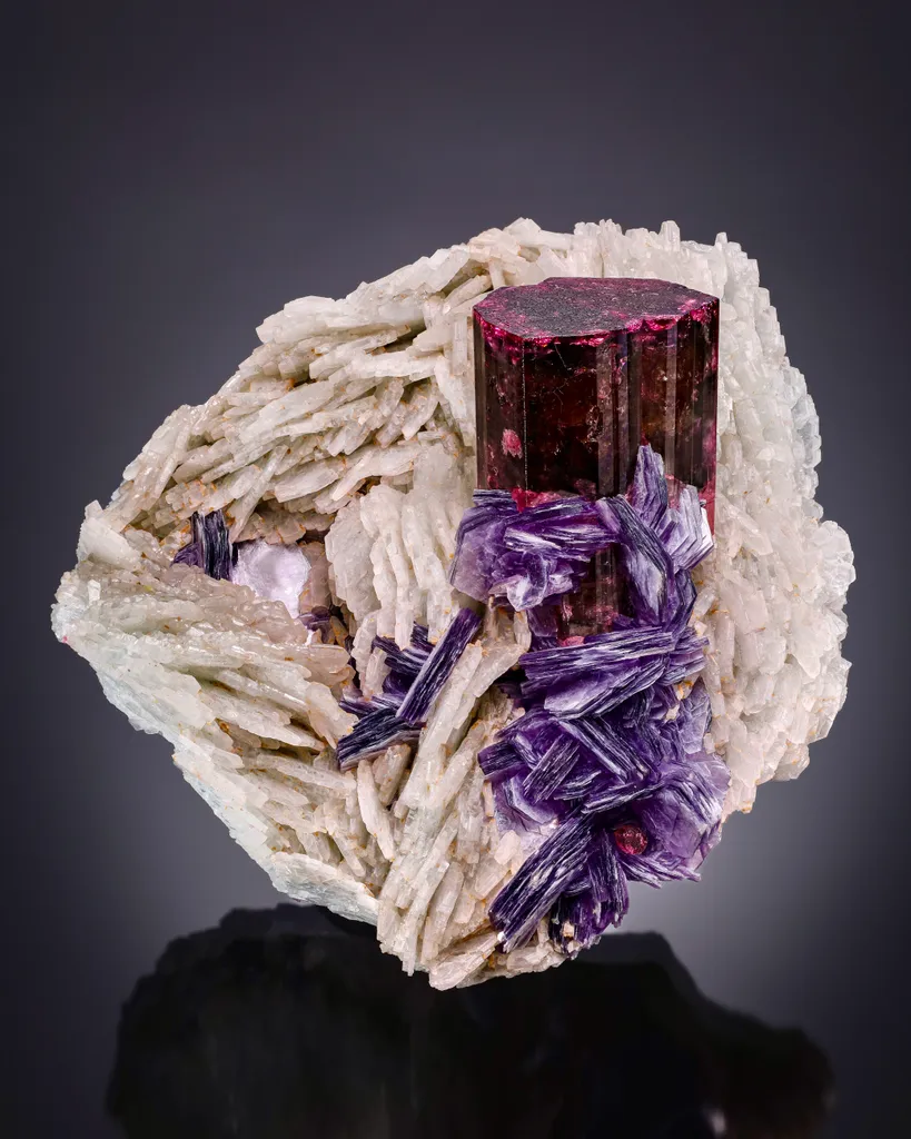 Elbaite with Lepidolite and Cleavelandite image