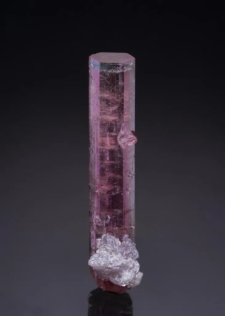 Elbaite with Lepidolite image