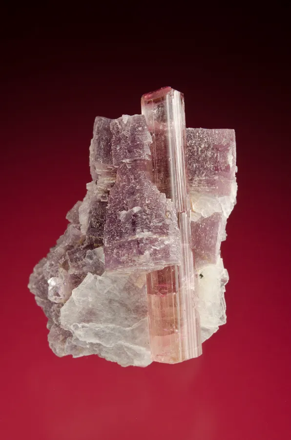 Elbaite with Lepidolite image