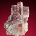 Elbaite with Lepidolite - image 1