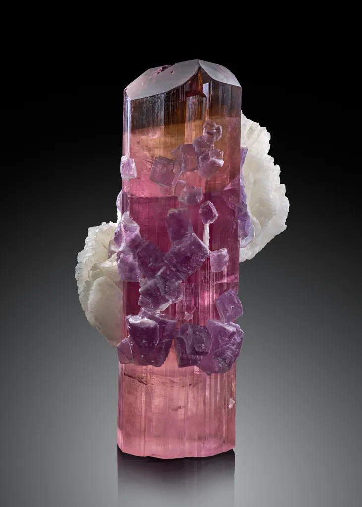 Elbaite with Lepidolite & Cleavelandite image