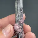 Elbaite with Lepidolite - image 2
