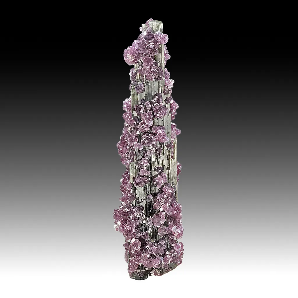 Elbaite with Lepidolite image