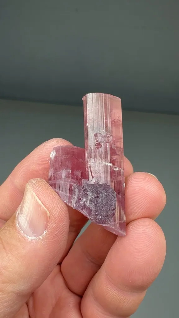 Elbaite with Lepidolite image