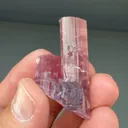 Elbaite with Lepidolite - image 1