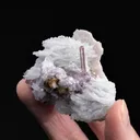 Elbaite with Lepidolite on Cleavelandite - image 2
