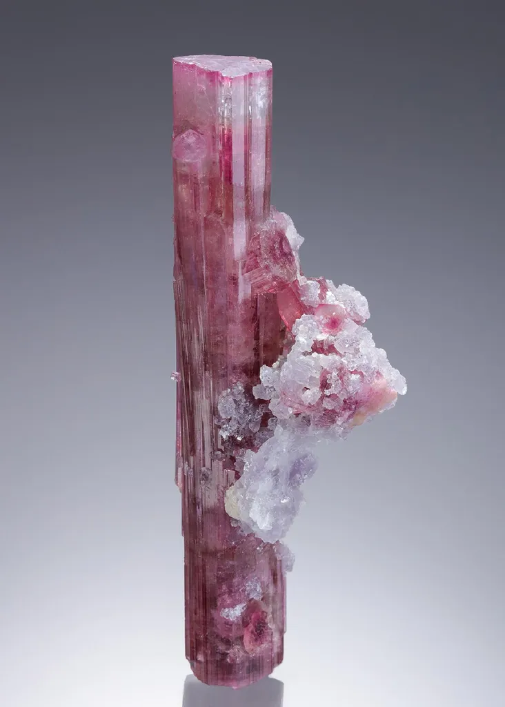 Elbaite with Lepidolite Tourmaline image