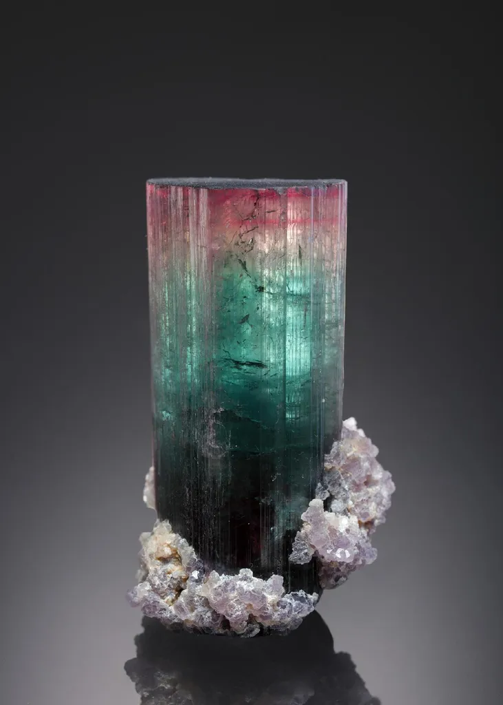 Elbaite with Lepidolite Tourmaline image