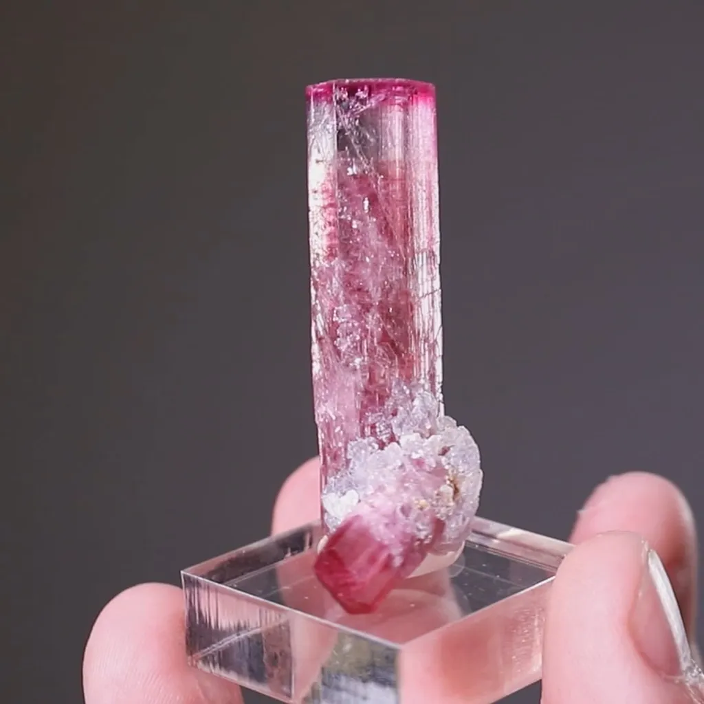 Elbaite with Lepidolite Tourmaline - image 3