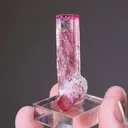 Elbaite with Lepidolite Tourmaline - image 3