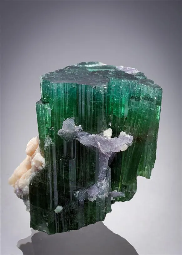 Elbaite with Lepidolite Tourmaline image