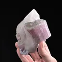 Elbaite with Lepidolite with Cleavelandite on Quartz - image 2