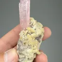 Elbaite with Microcline, Lepidolite - image 2