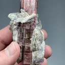 Elbaite with Muscovite - image 2