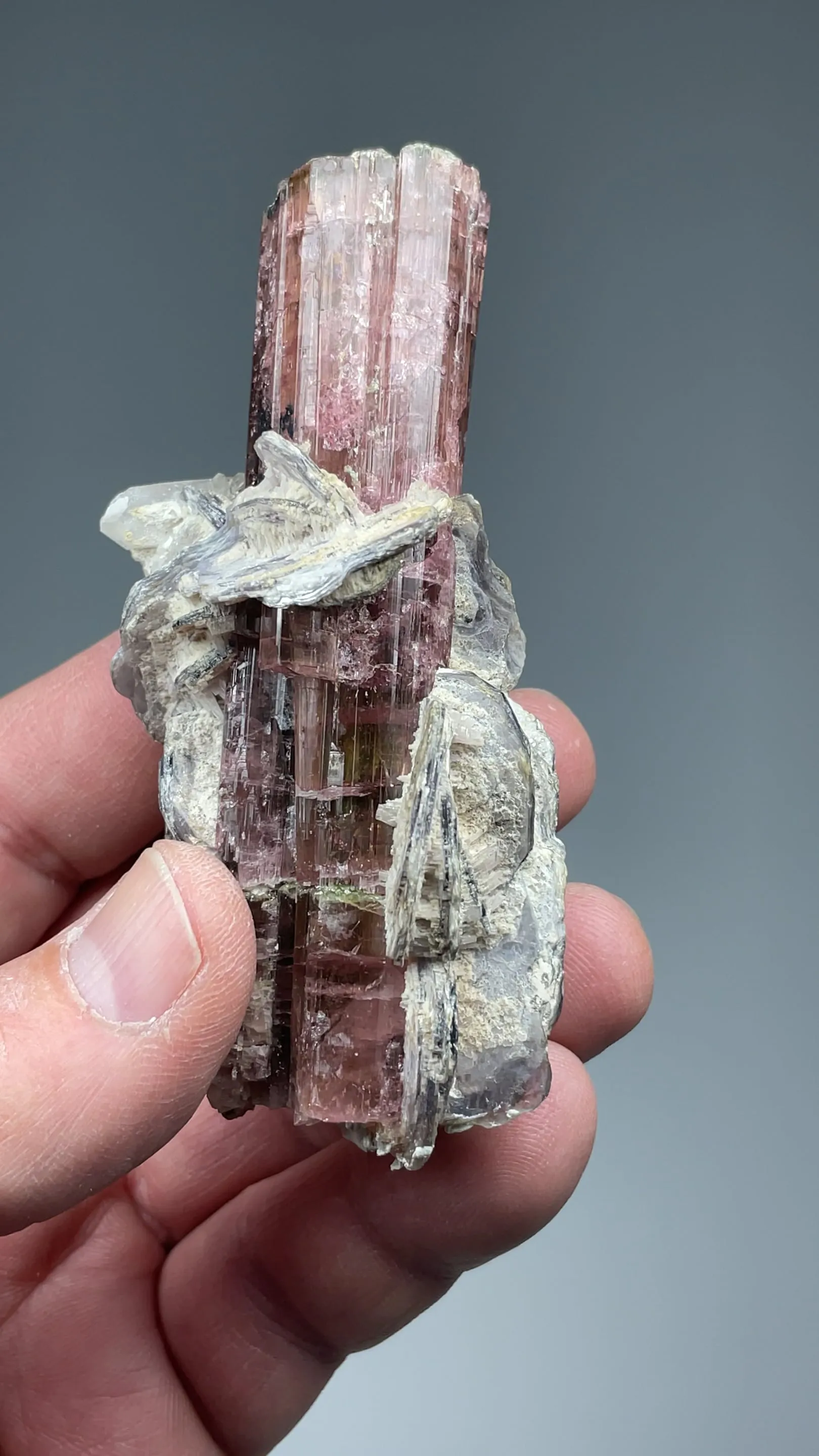 Elbaite with Muscovite - image 2