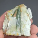 Elbaite with Muscovite - image 2