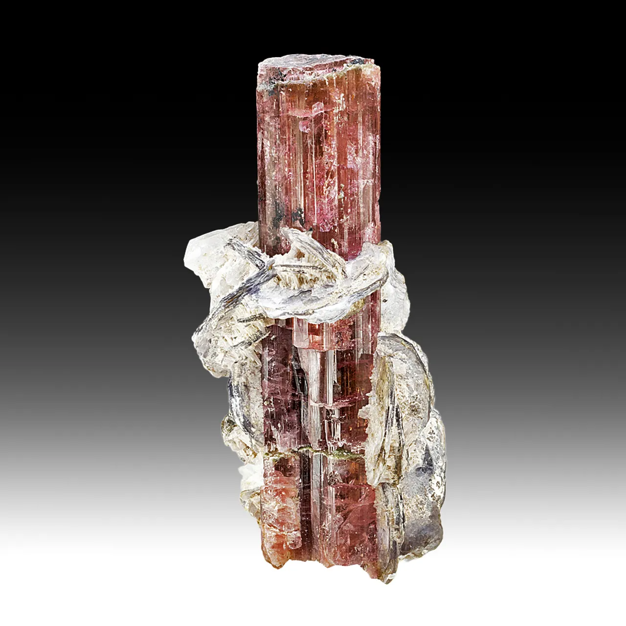 Elbaite with Muscovite - image 1