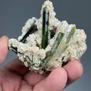 Elbaite with Muscovite - image 2