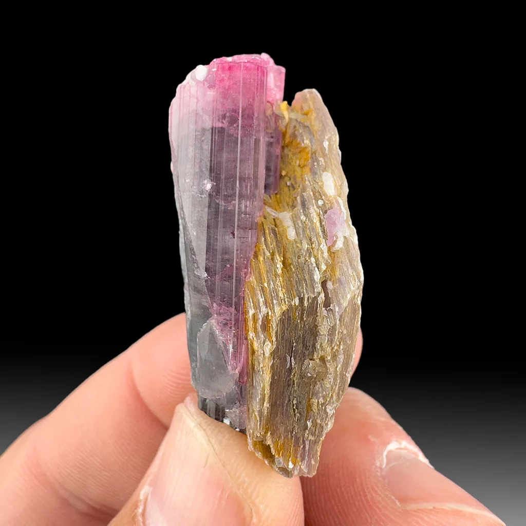 Elbaite with Muscovite, Albite - image 1
