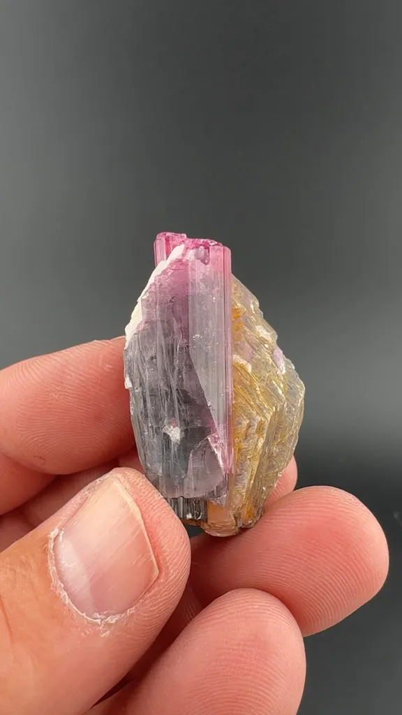 Elbaite with Muscovite, Albite image
