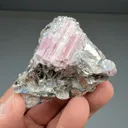 Elbaite with Muscovite - image 2