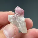 Elbaite with Quartz - image 2