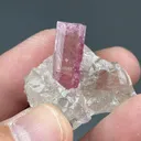 Elbaite with Quartz - image 2