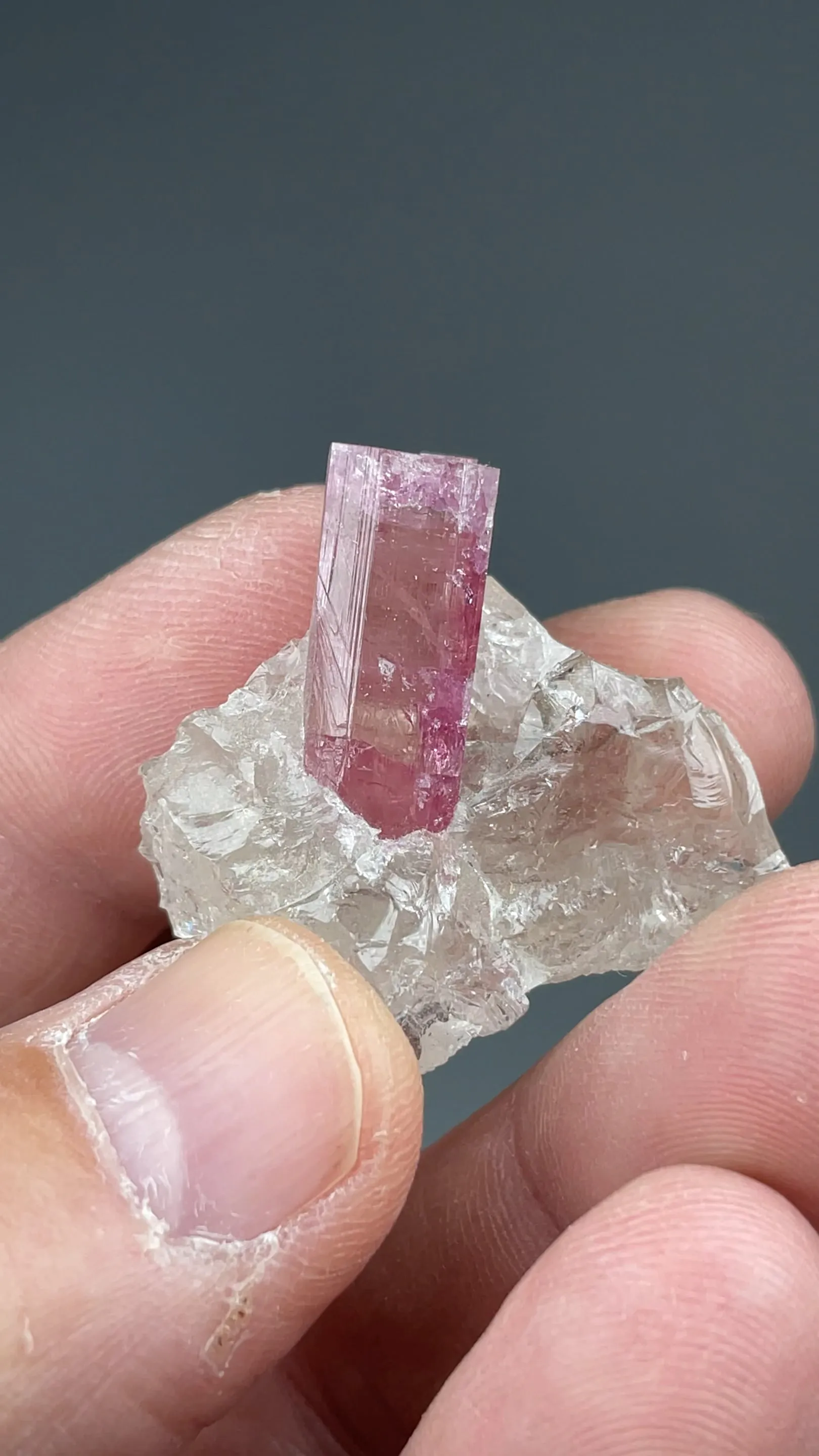 Elbaite with Quartz - image 2