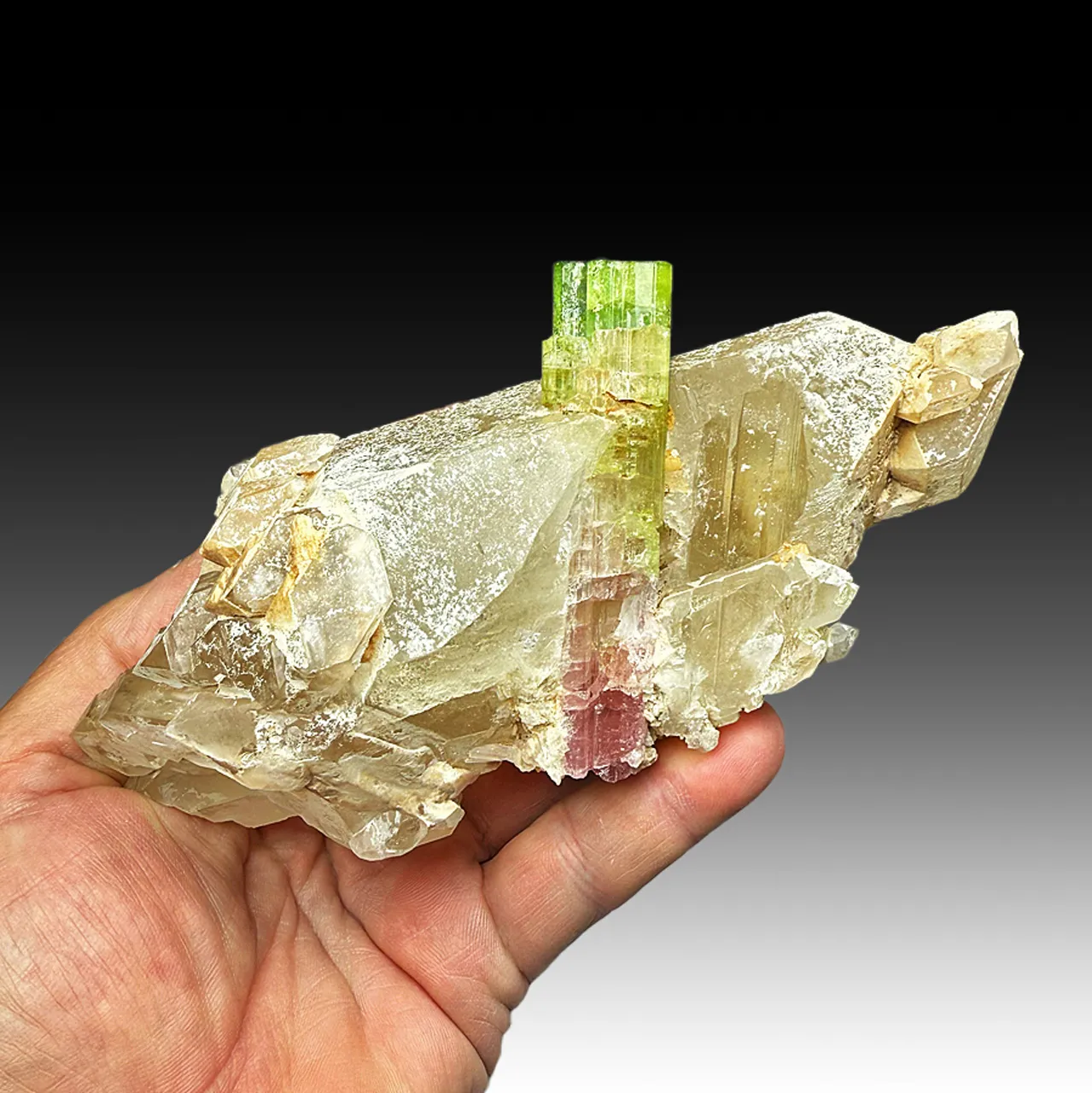 Elbaite with Quartz - image 2