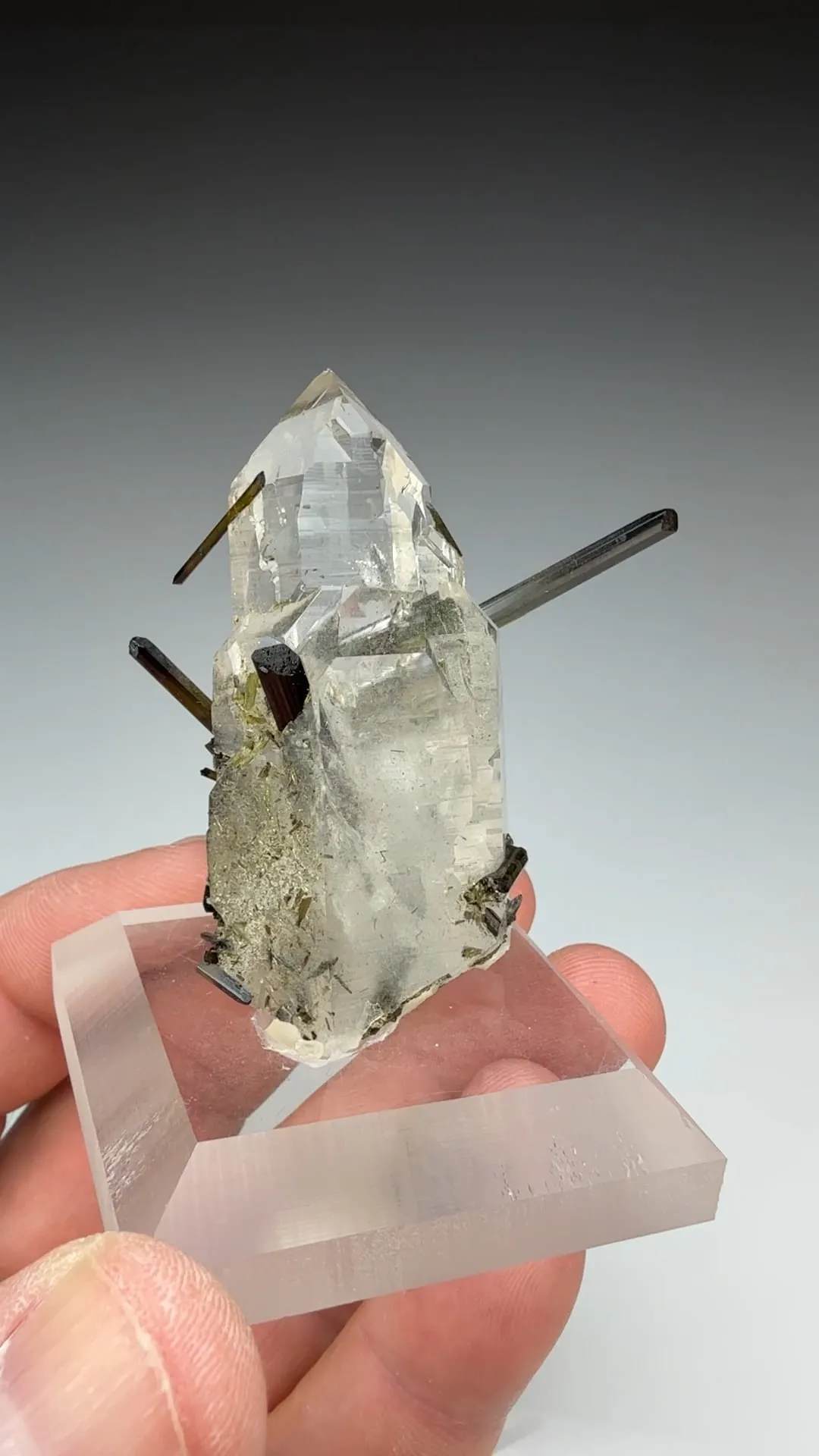 Elbaite with Quartz (1081) - image 2