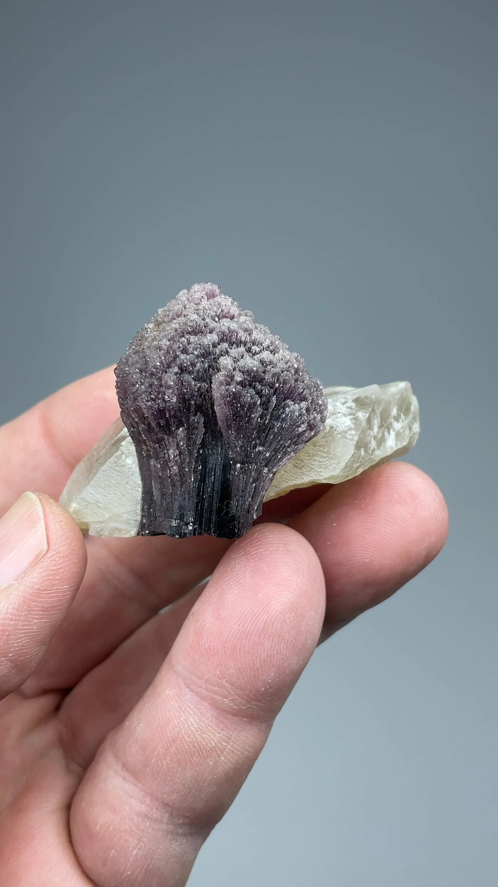 Elbaite with Quartz - image 2