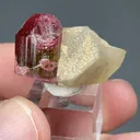 Elbaite with Quartz - image 2
